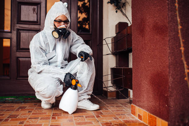 Attic and Crawl Space Rodent Treatment in Afton