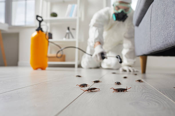 Commercial Rodent Management in Afton